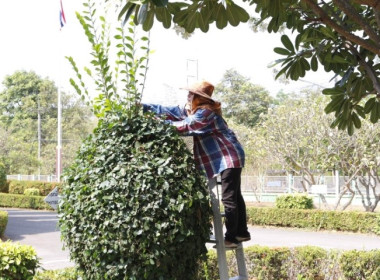 จัดกิจกรรม (Big Cleaning Day) ... พารามิเตอร์รูปภาพ 8