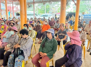วันที่ 19 พฤษภาคม 2568 นางสาวกุลยา ทองเพชร ผู้อำนวยการ ... พารามิเตอร์รูปภาพ 19