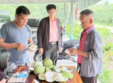วันที่ 19 สิงหาคม 2568 นางสาวกุลยา ทองเพชร ... พารามิเตอร์รูปภาพ 6