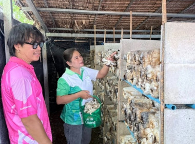 วันที่ 21 สิงหาคม 2568 นางสาวกุลยา ทองเพชร ... พารามิเตอร์รูปภาพ 3