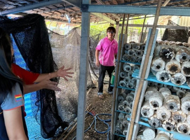 วันที่ 21 สิงหาคม 2568 นางสาวกุลยา ทองเพชร ... พารามิเตอร์รูปภาพ 12