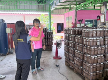 วันที่ 21 สิงหาคม 2568 นางสาวกุลยา ทองเพชร ... พารามิเตอร์รูปภาพ 16